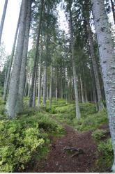 Background Forests